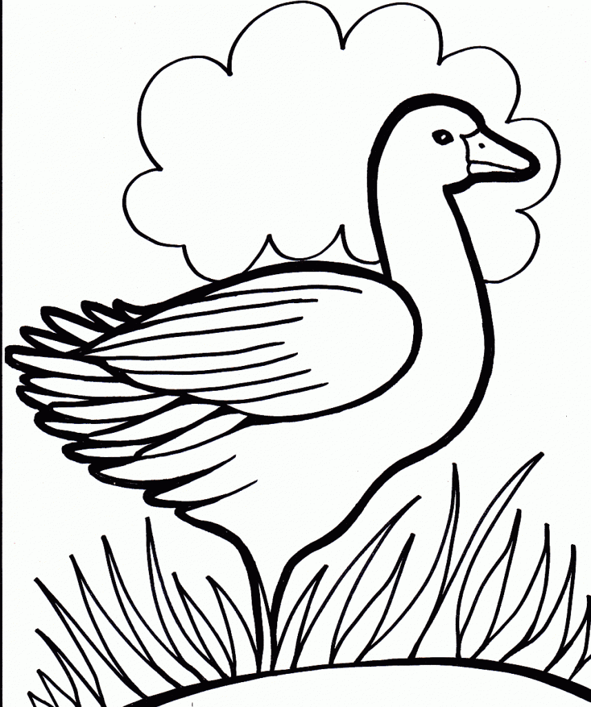 Plansa de colorat cu Rata 6 38